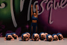 Your dance classes for adults near me 218 Dance Project in Duluth in Minnesota