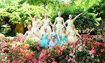 Your dance classes for adults near me Agape Ballet in Jasper in Alabama