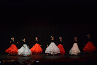Your dance classes for adults near me Arpan Dance Academy Llc in Ashburn in Virginia