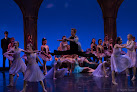 Your dance classes for adults near me Columbus Dancearts Academy in Dublin in Ohio