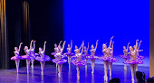 Your dance classes for adults near me Dance Arts Centre in Chanhassen in Minnesota
