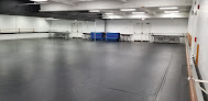 Your dance classes for adults near me Dance- Chicago Multicultural Dance in Chicago in Chicago