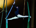 Your dance classes for adults near me Fly Circus & Aerial Arts in Appleton in Wisconsin