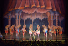 Your dance classes for adults near me Maine State Ballet in Falmouth in Me