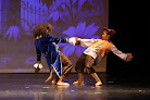 Your dance classes for adults near me Stellar Dance Studio in Los Angeles in Los Angeles